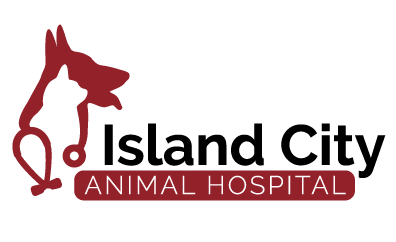 Island City Animal Hospital Homepage