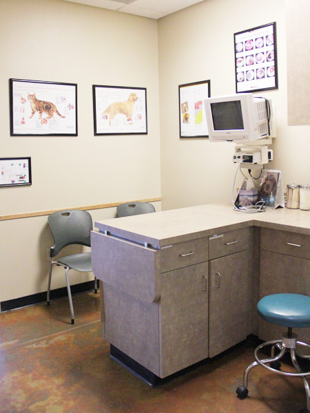 exam room 