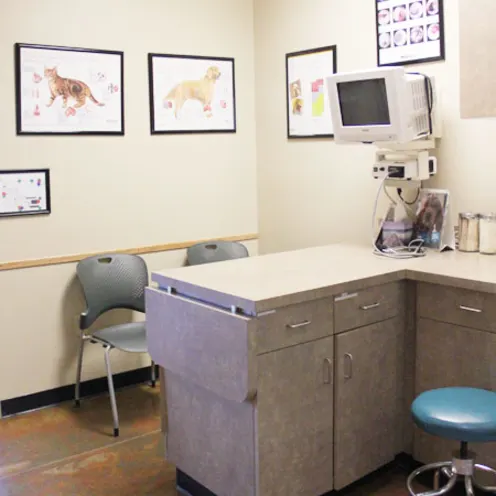 exam room 