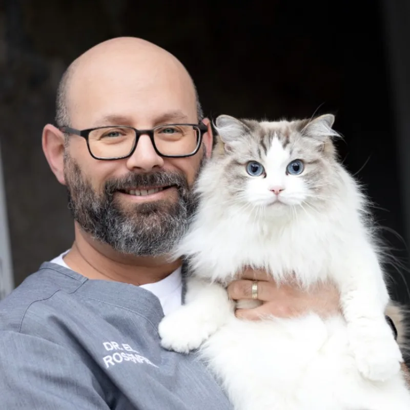 DR. ELAD ROSENFELD DR. ELAD ROSENFELD