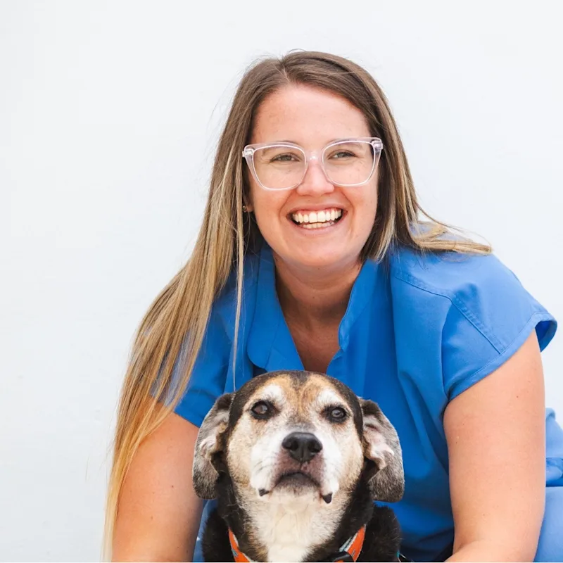 Brittany Bowsher, DVM Brittany Bowsher, DVM