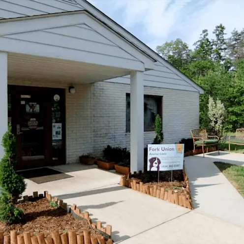 clinic entrance clinic entrance