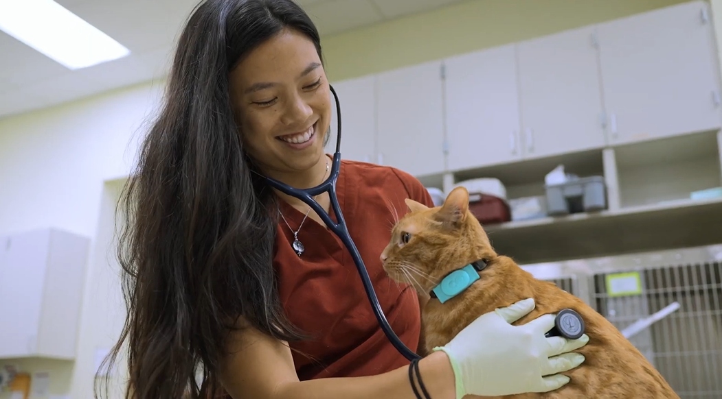 Staff looking down and  smiling at a cat.
