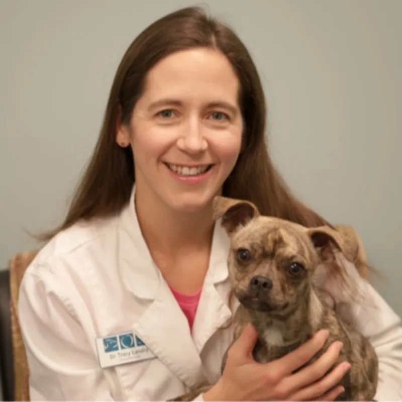 Dr. Tracy Landry Dr. Tracy Landry