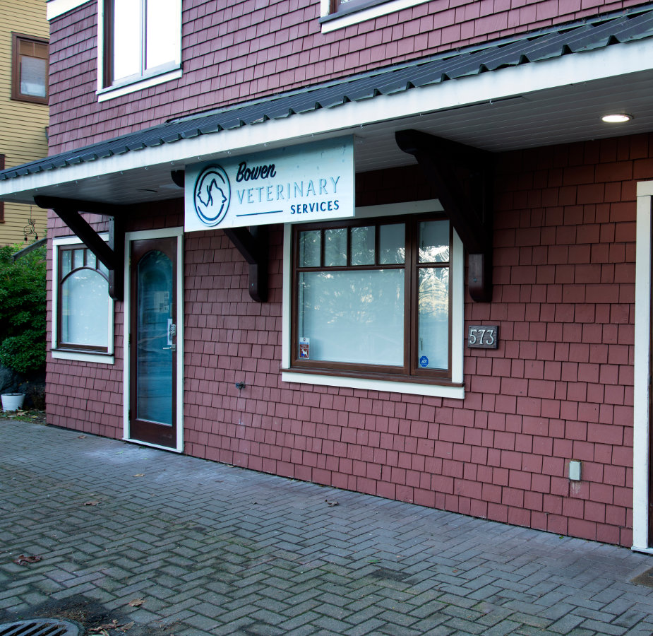 A photo of the exterior of Bowen Veterinary Services 