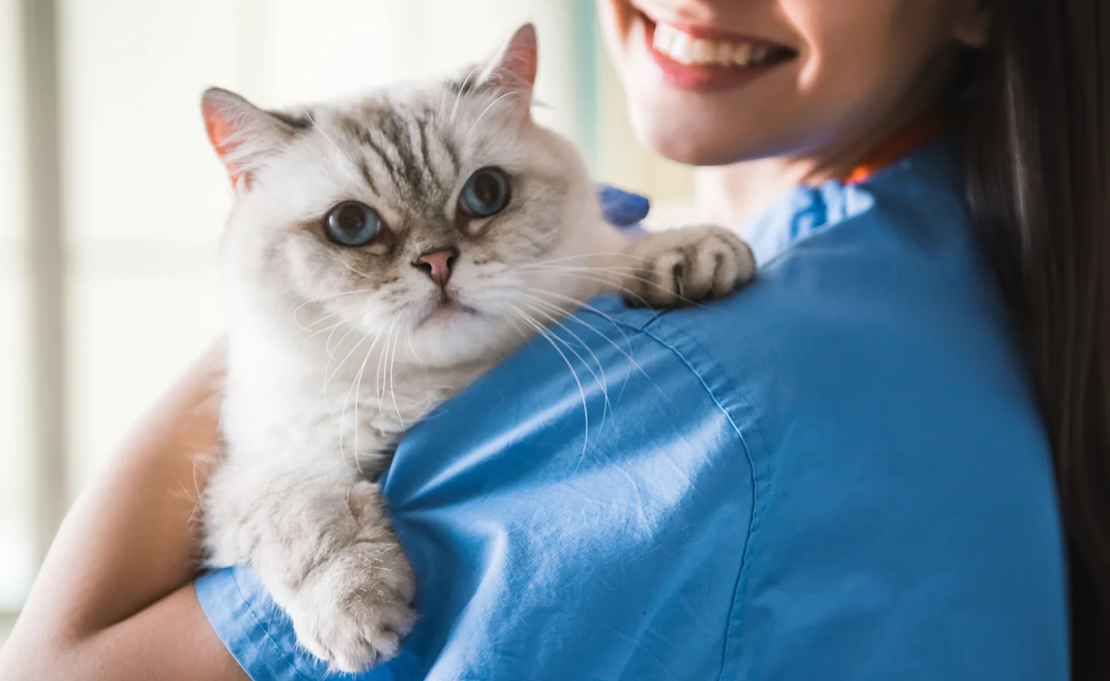 staff holding kitten staff holding kitten