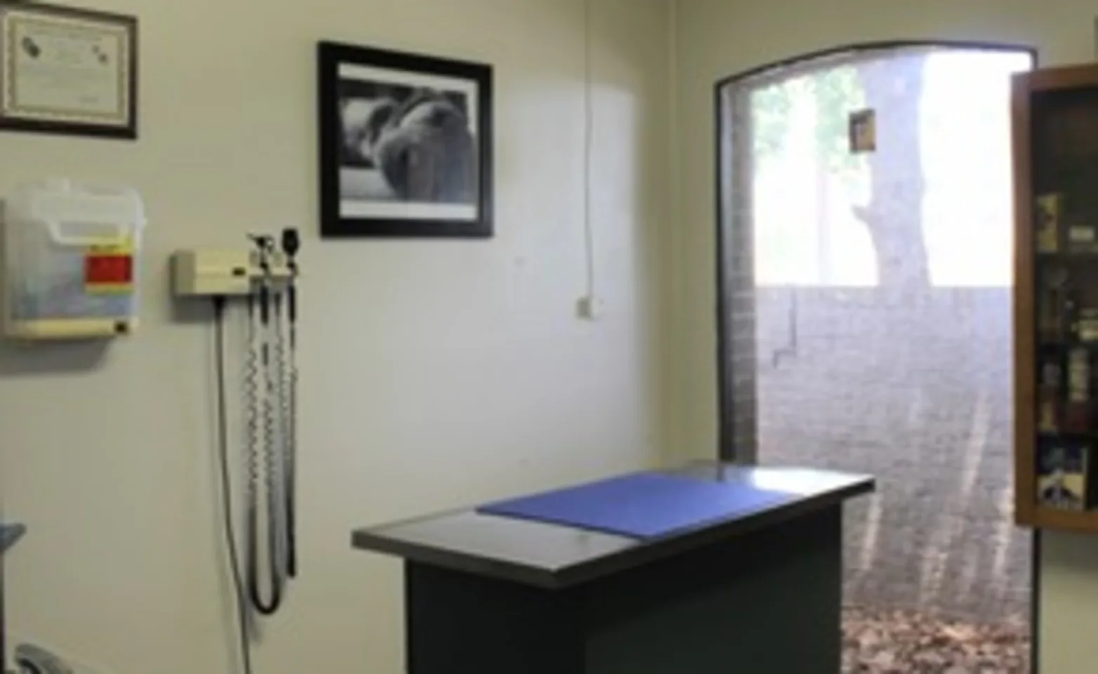 Exam Room Exam Room