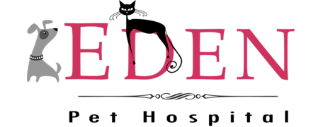 Eden Pet Hospital Logo Eden Pet Hospital Logo