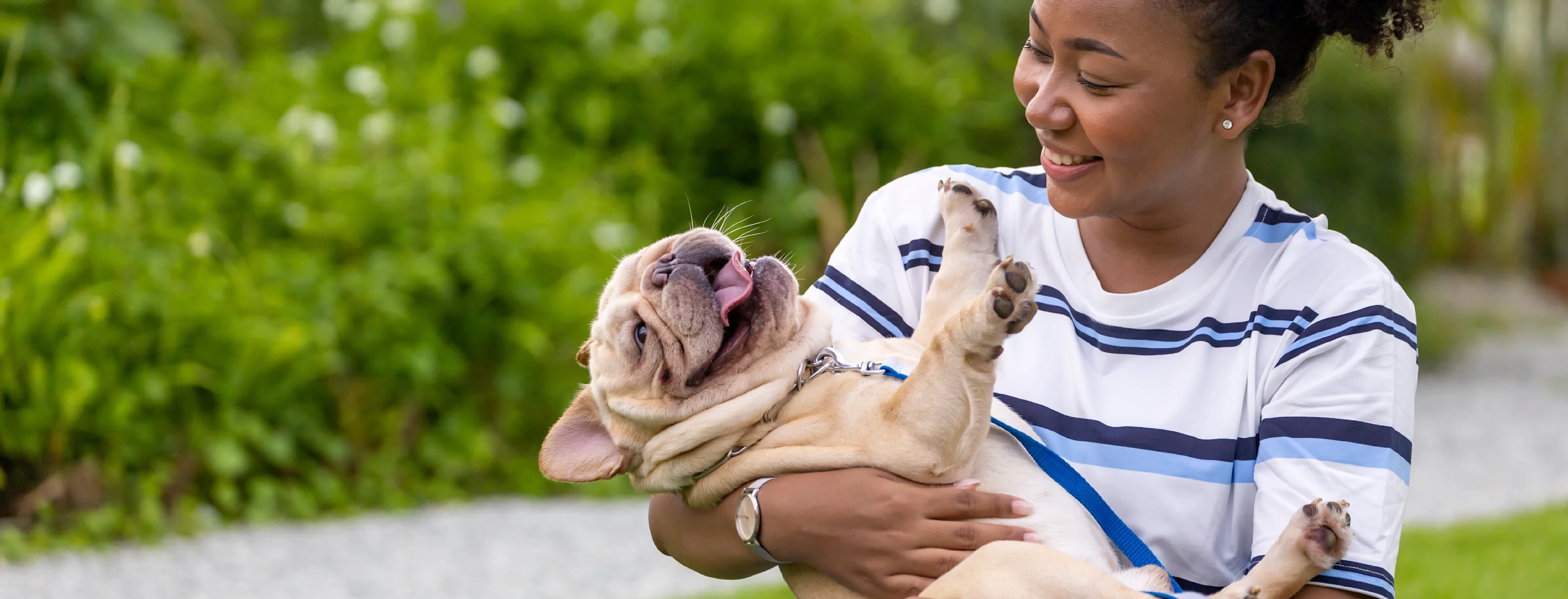 Girl holding French bull dog Girl holding French bull dog