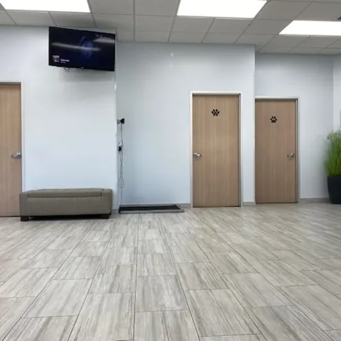 Waiting room view of exam doors at Bay Glen Animal Hospital