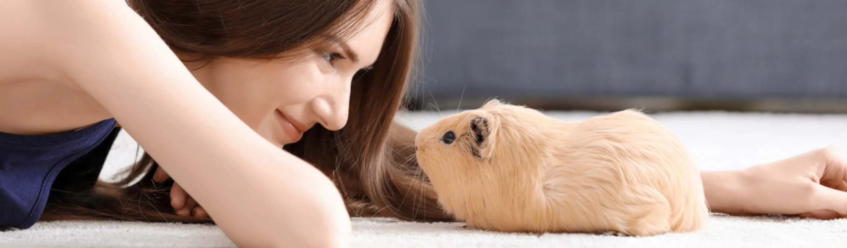 Owner and her Guinea Pig Owner and her Guinea Pig
