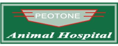 Peotone Animal Hospital-WebsiteFavicon