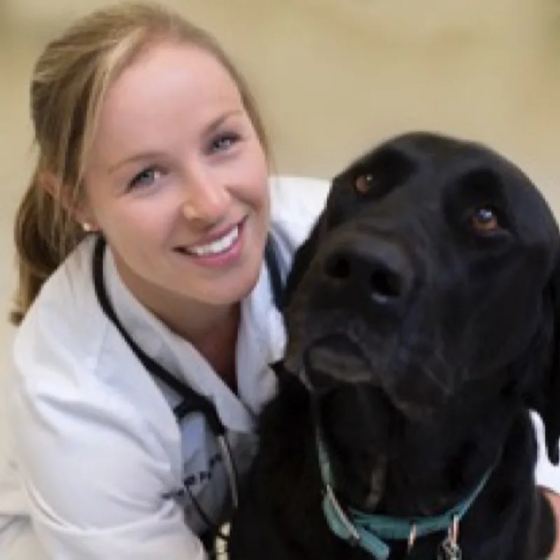 Dr. Megan Pansiera at Overland Animal Hospital Dr. Megan Pansiera at Overland Animal Hospital