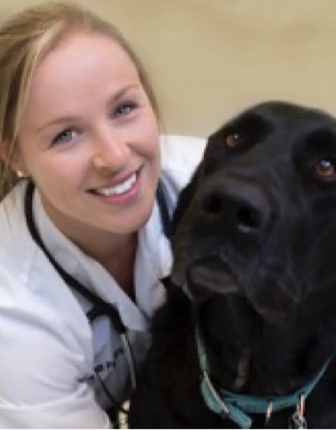 Dr. Megan Pansiera at Overland Animal Hospital Dr. Megan Pansiera at Overland Animal Hospital