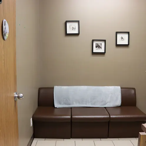 Comfort Room Comfort Room