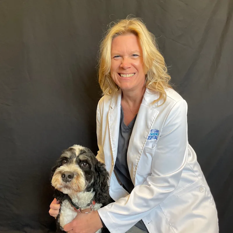 Dr. Heidi Hanson Dr. Heidi Hanson