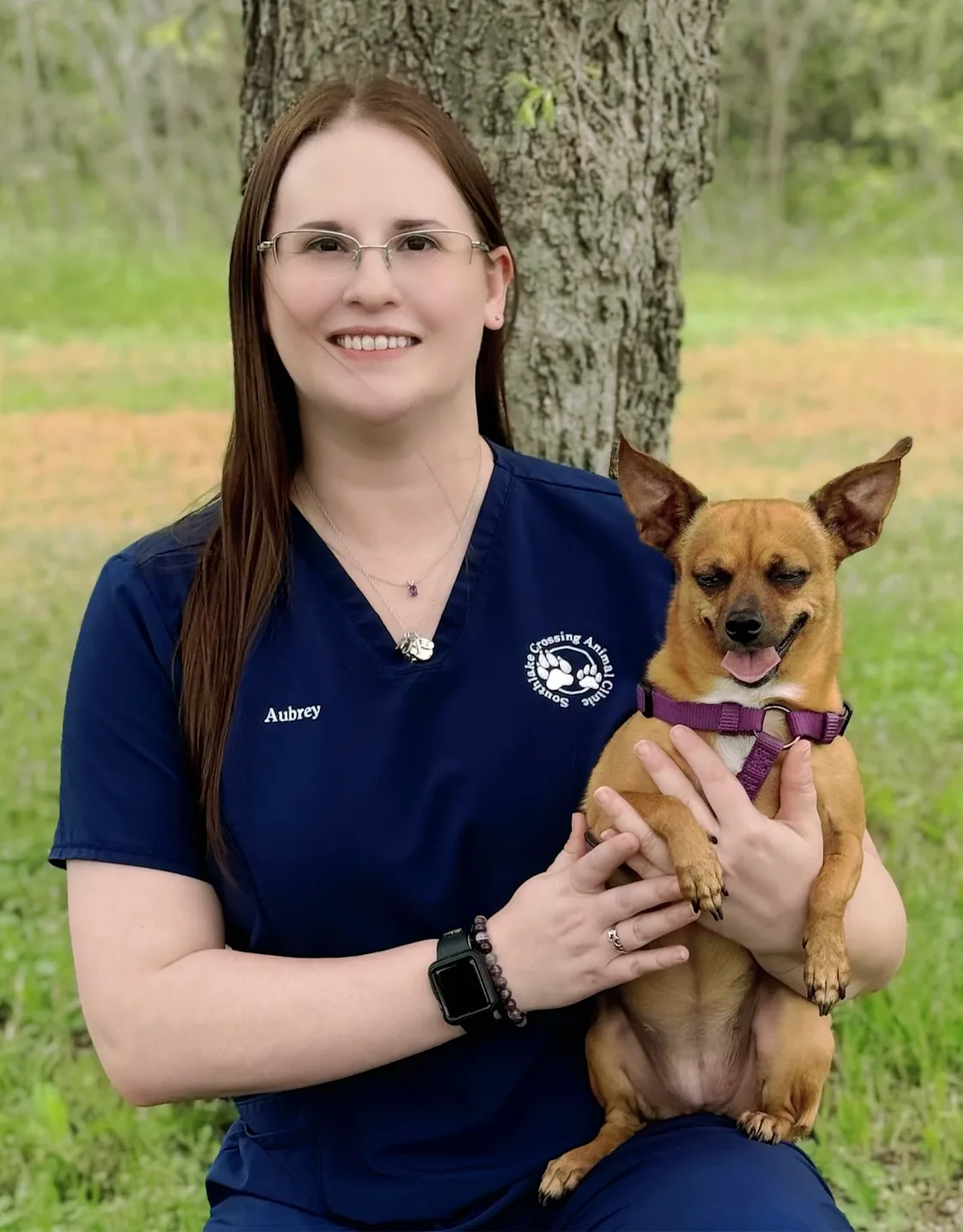 Southlake Crossing Animal Clinic Aubrey Southlake Crossing Animal Clinic Aubrey