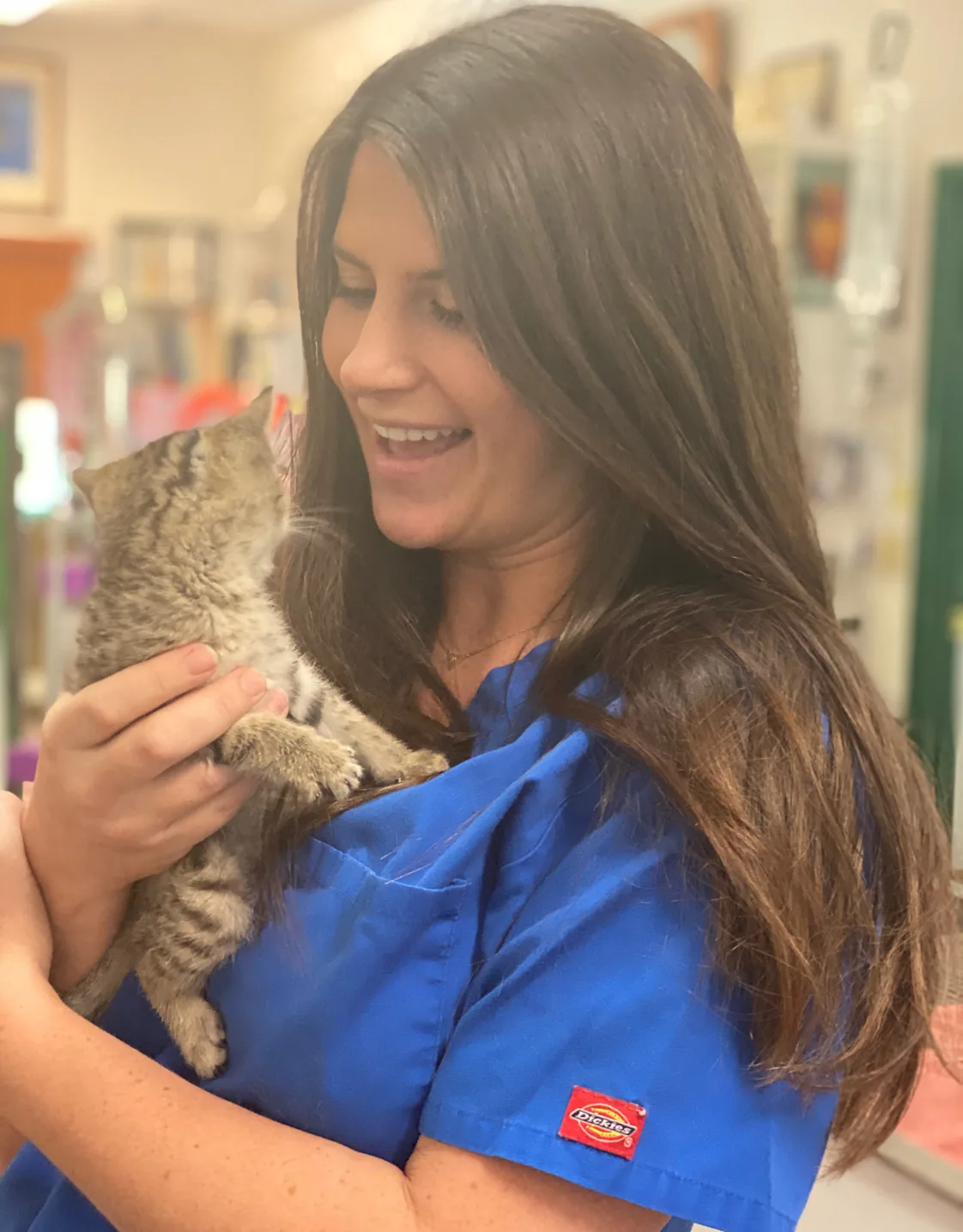 Dominique Wareham's staff photo from Plantation Animal Hospital where she is smiling and holding a grey tabby kitten. Dominique Wareham's staff photo from Plantation Animal Hospital where she is smiling and holding a grey tabby kitten.