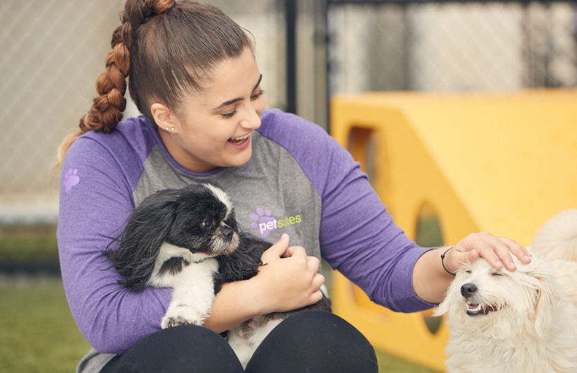 A PetSuites staff member plays with dogs at daycare. 