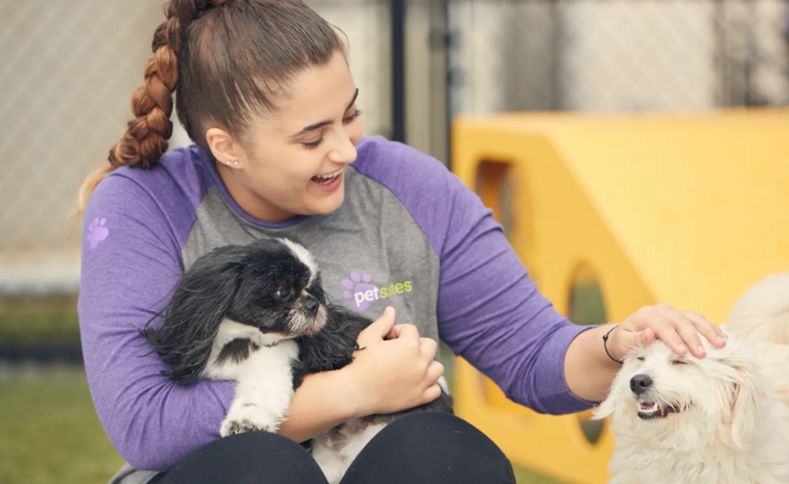 A PetSuites staff member plays with dogs at daycare. A PetSuites staff member plays with dogs at daycare.