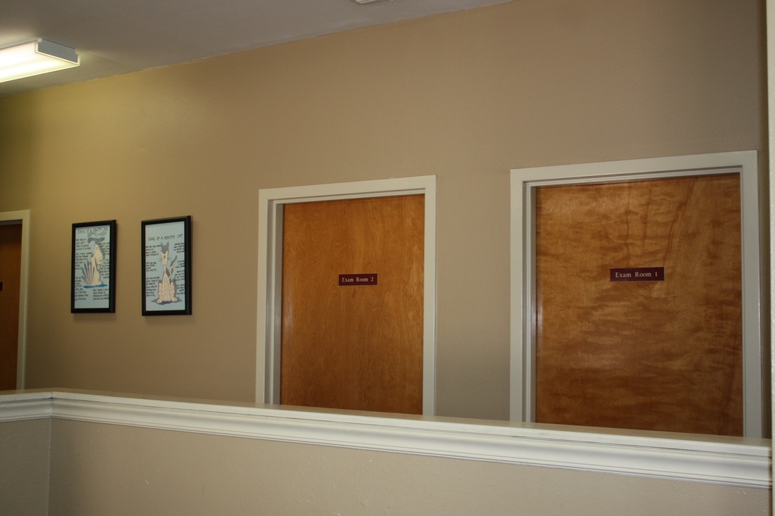 Westridge Animal Hospital Exam Doors
