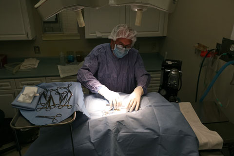 Lake Chatuge Animal Hospital Surgery
