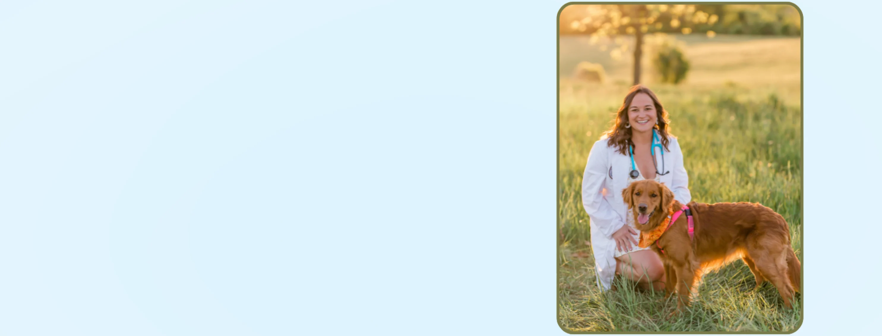 Welcome Dr. Witmer to the Willow Run Team! Welcome Dr. Witmer to the Willow Run Team!