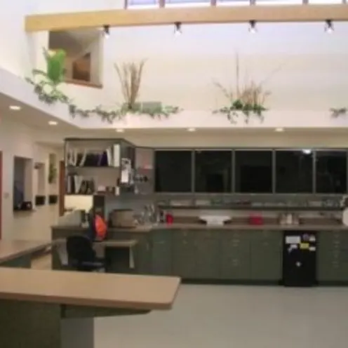 Treatment Area Treatment Area