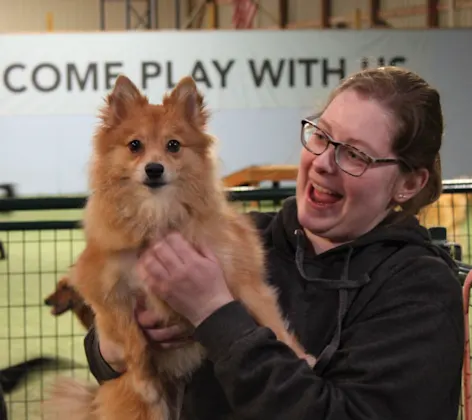The Pet Ranch Dog Boarding The Pet Ranch Dog Boarding