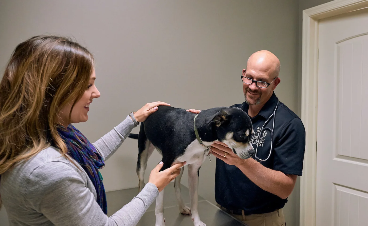 Dog and Doctors Checking on Table at Foothills Veterinary Hospital Dog and Doctors Checking on Table at Foothills Veterinary Hospital