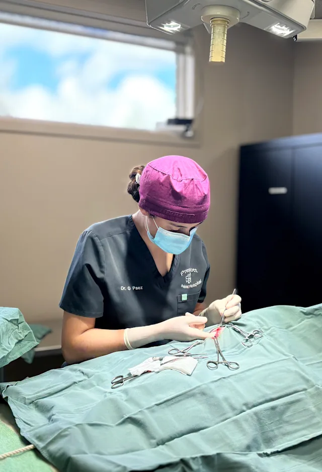 surgery room surgery room
