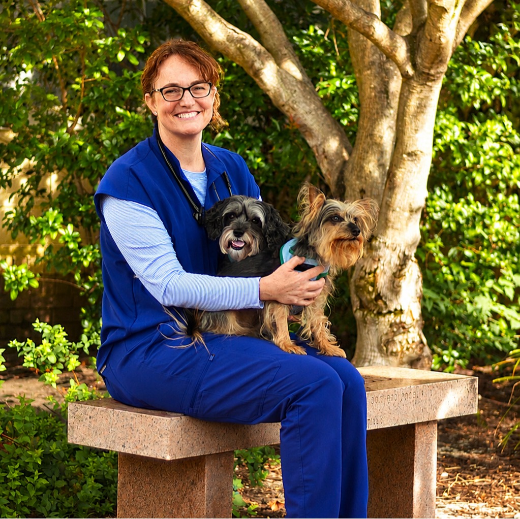 Dr. Cheryl Sine 