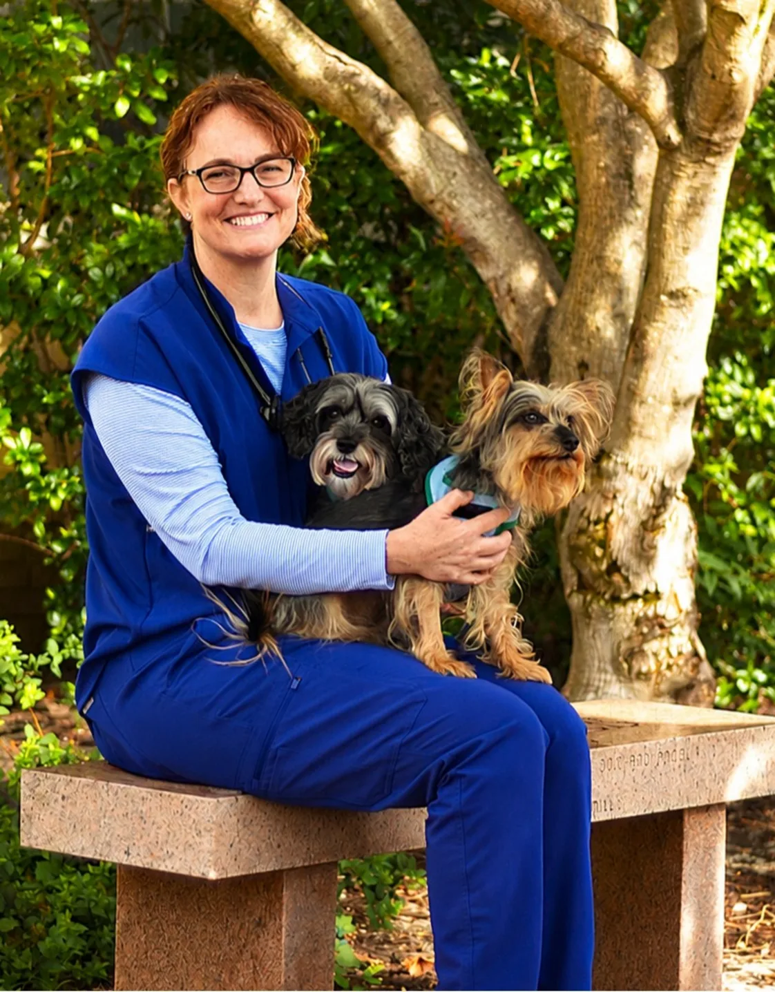 Dr. Cheryl Sine Dr. Cheryl Sine