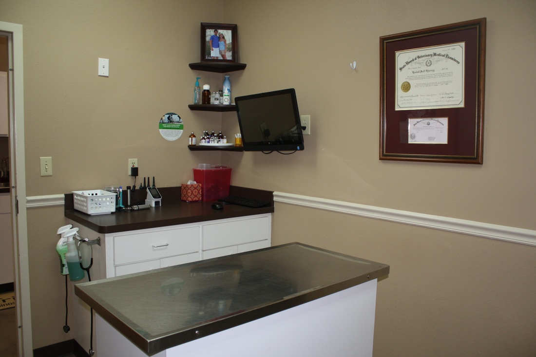 Westridge Animal Hospital Exam Table