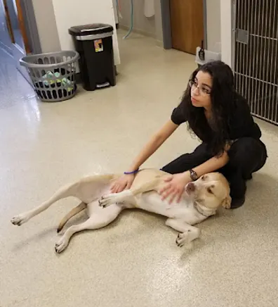 Rebecca petting a dog. Rebecca petting a dog.
