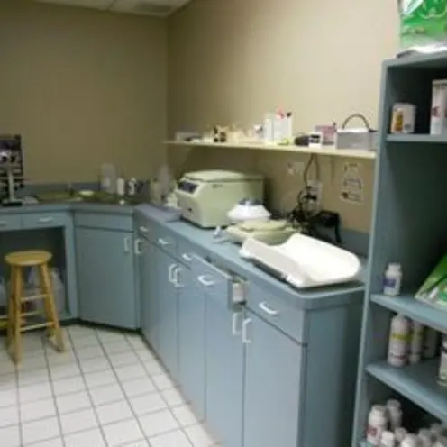 Chastain Animal Clinic 0216 - Lab Chastain Animal Clinic 0216 - Lab