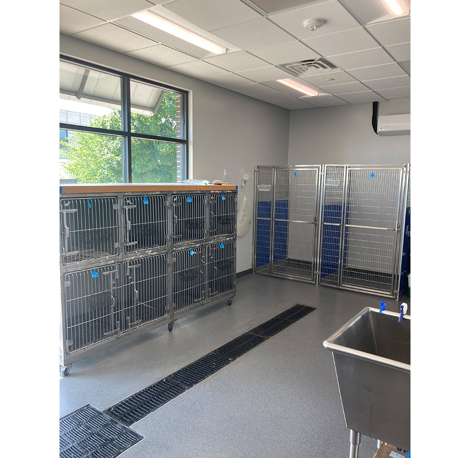 Kennel at Value Vet