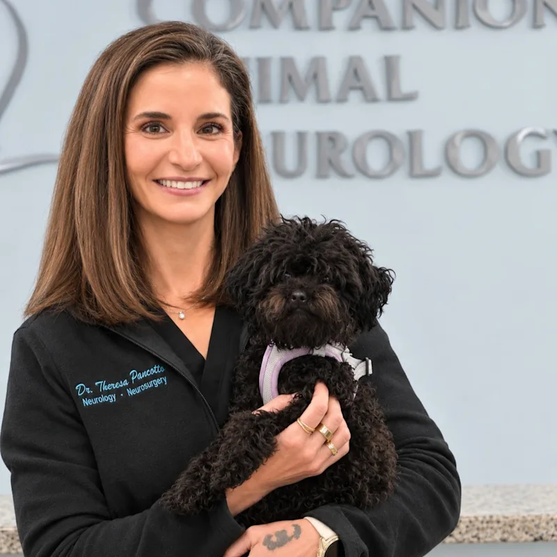 Theresa Pancotto holding two dogs Theresa Pancotto holding two dogs