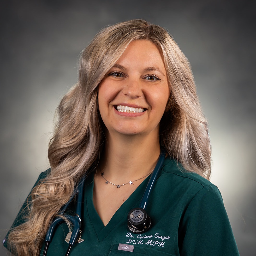 Dr. Corinna Gorgon