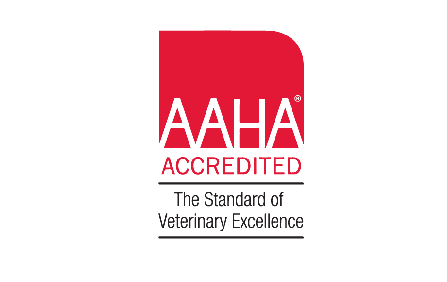 Aaha accredited veterinary store hospitals near me