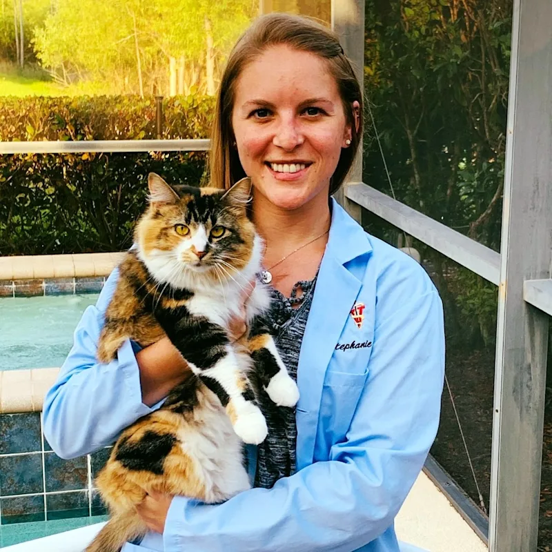 New Staff Member New Staff Member