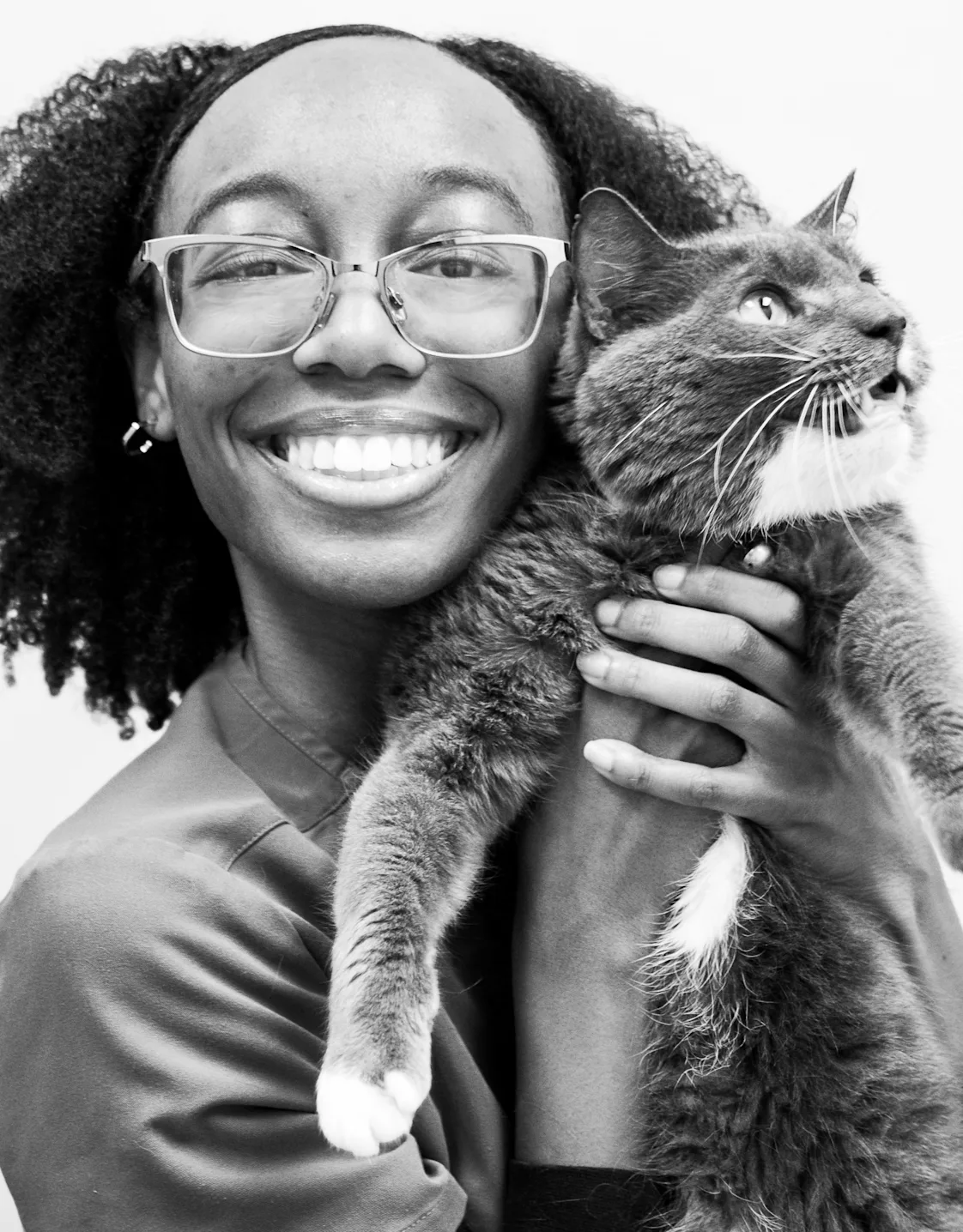 Jade at Animal Medical Care Center of Yorktown Jade at Animal Medical Care Center of Yorktown