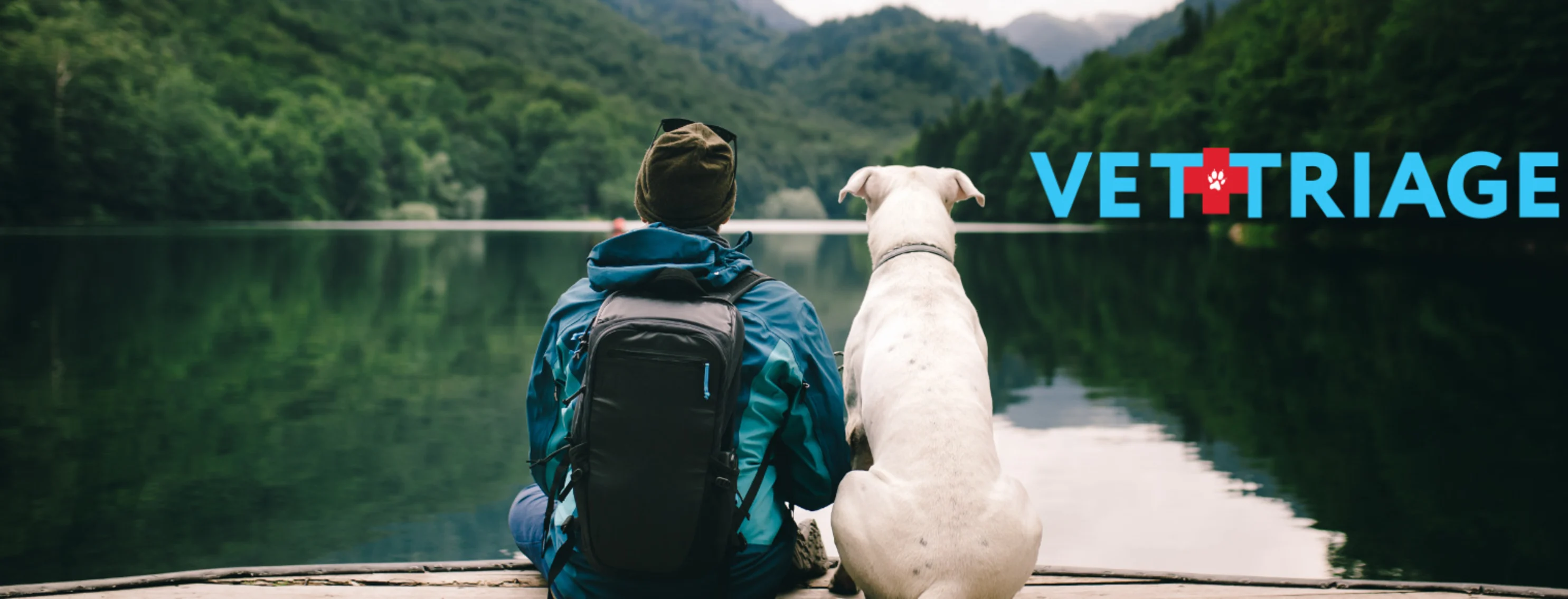 VetTriage Logo on Computer Screen with Dog Laying Next to it On Table