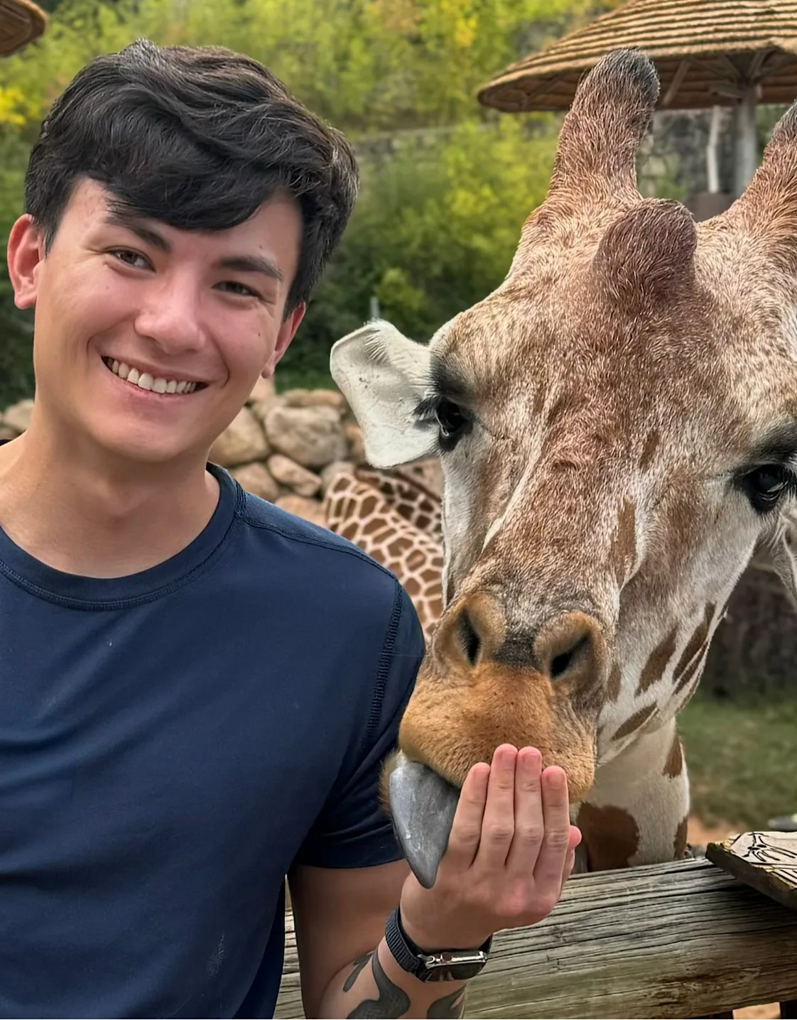 Landon Chen Landon Chen