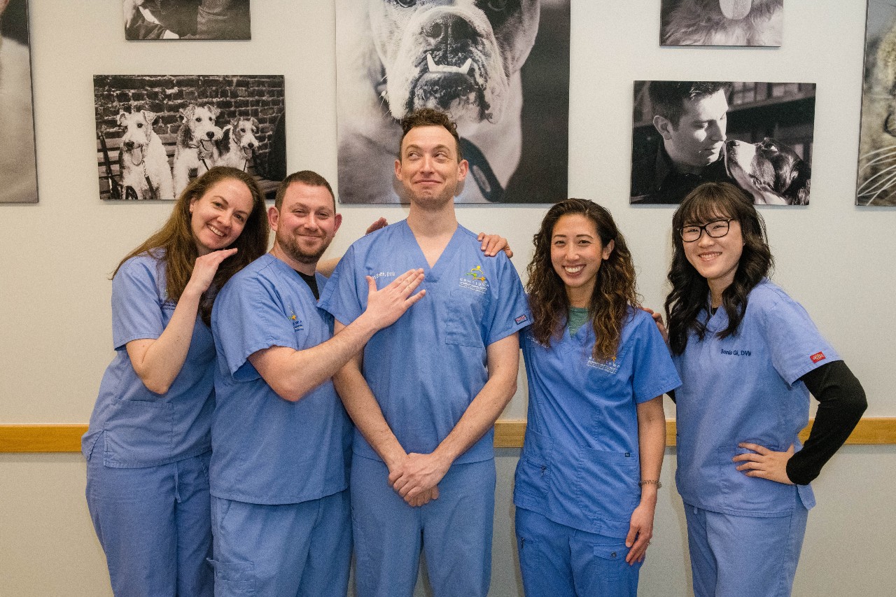 West Village Veterinary Hospital's five veterinarians in blue scrubs.