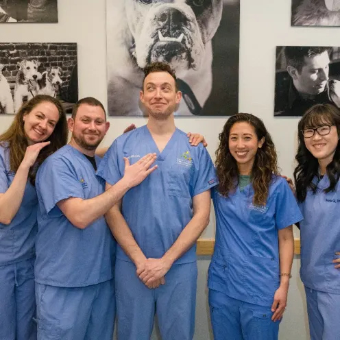 West Village Veterinary Hospital's five veterinarians in blue scrubs.