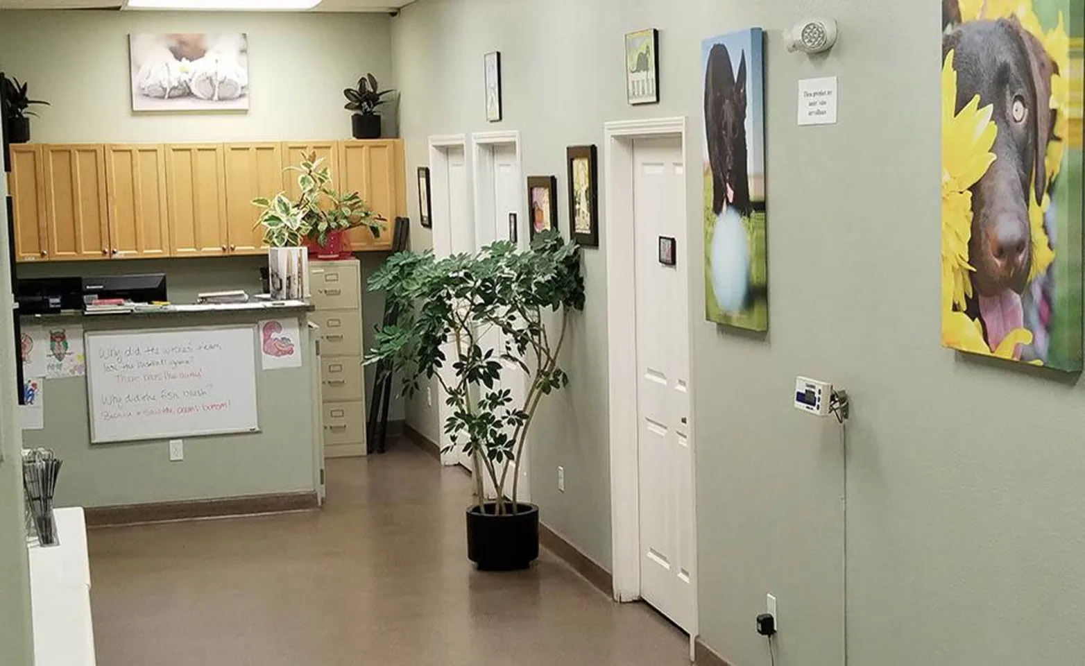 inside the place inside the place