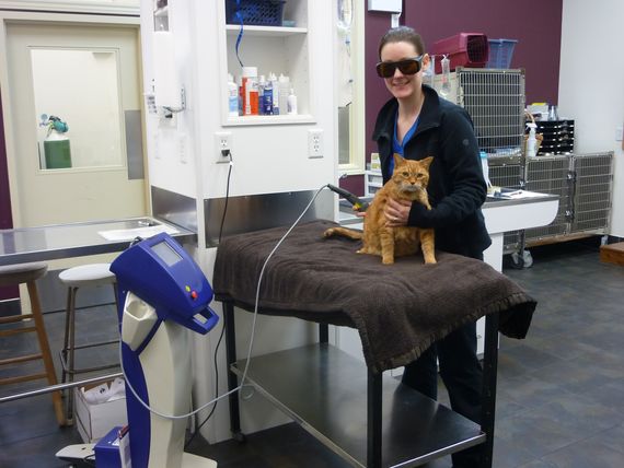 Therapeutic Laser Treatment 