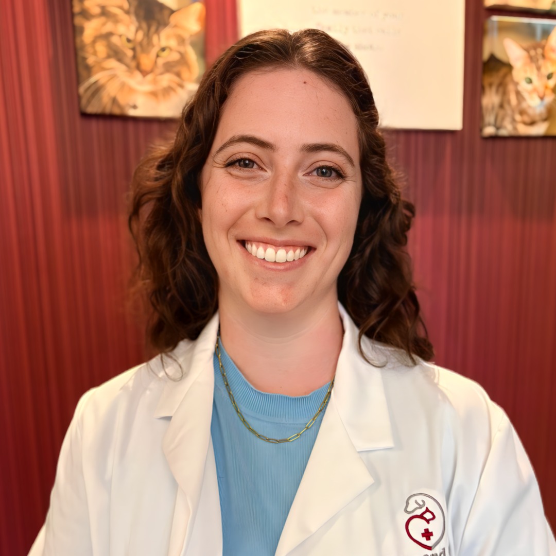 Dr. Harro