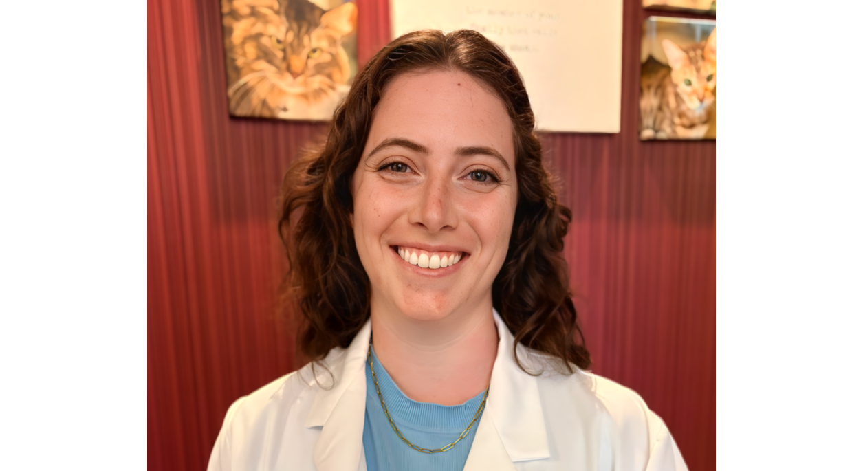 Dr. Harro